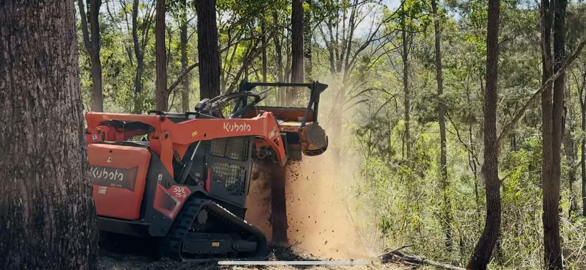 Land clearing and forestry mulching with a skid steer near Halifax