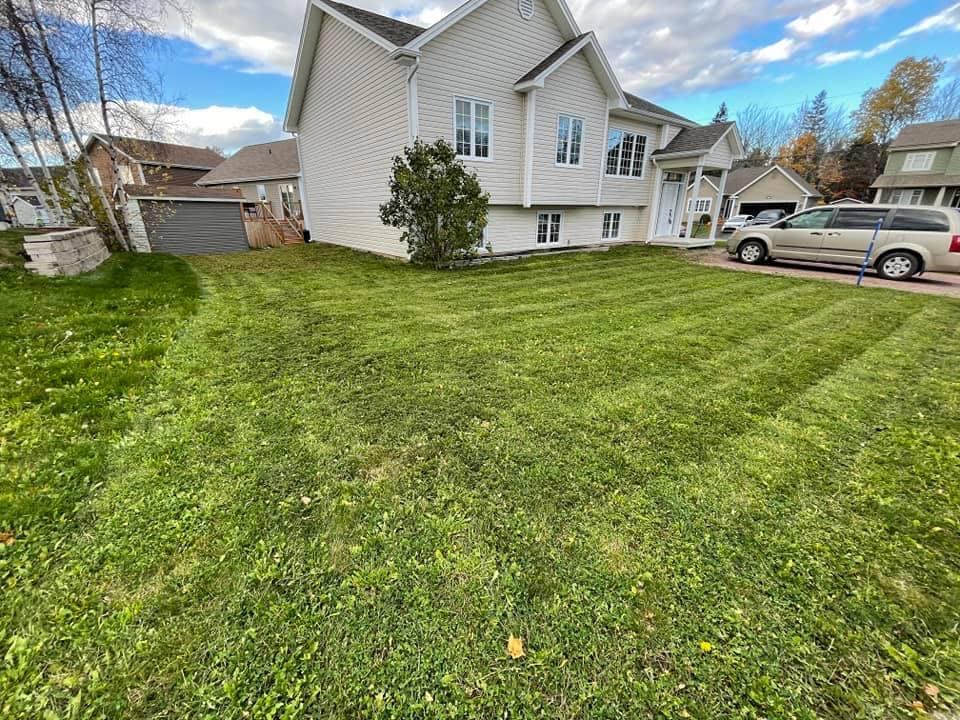 Landscaping and excavation project by Green Apple Landscaping Builders