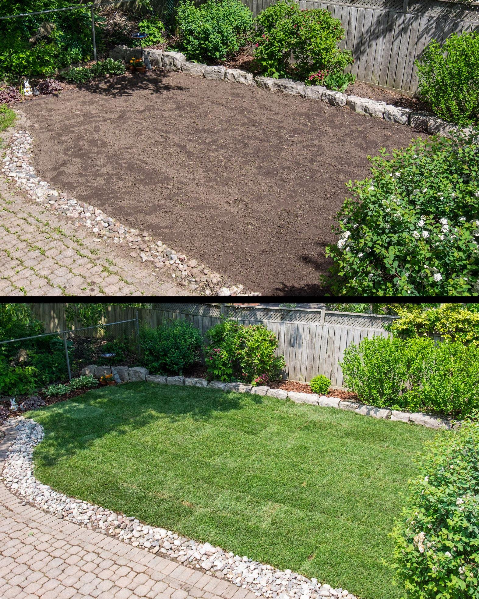 Before and after of a new sod lawn install in Halifax
